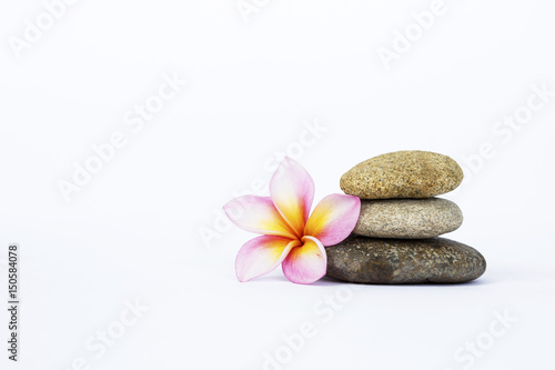 Natural zen stone with beautiful fresh Plumeria flower on white background, spa concept