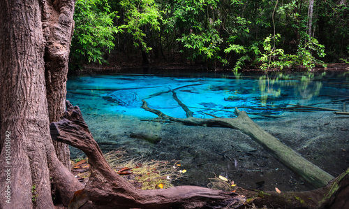 Emerald blue pool (Sra Morakot) in Krabi province, Thailand © boonsom