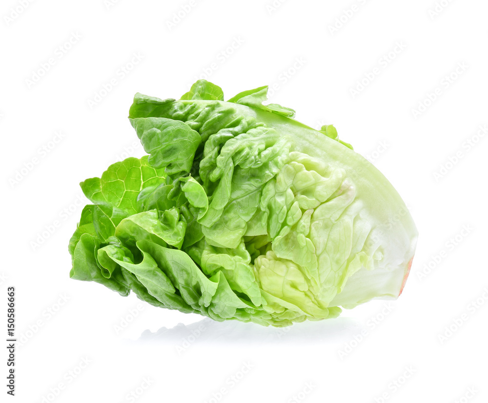 fresh baby cos (lettuce) on white background fresh baby cos (lettuce) on white background