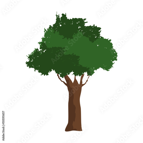 tree foliage branch spring time vector illustration