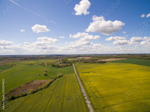  Aerial view of a country road in a colorful raps field in spring with blue sky in germany