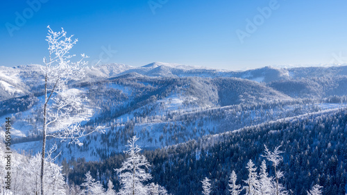 Fototapeta Naklejka Na Ścianę i Meble -  Beskidy 5