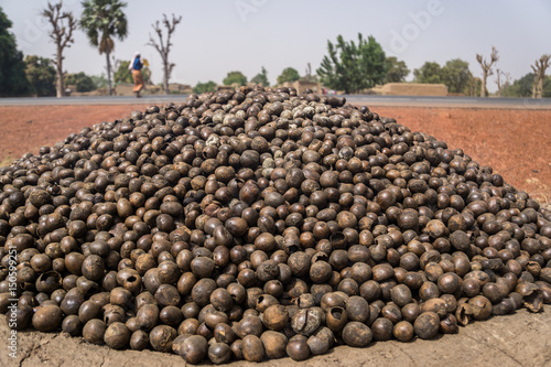 Foto A pile of shea nuts on top of a mud oven being roasted