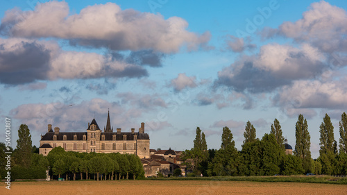 Photos France, the renaissance castle of Cadillac in Gironde