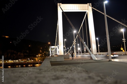 Ponte Elisabetta di notte photo