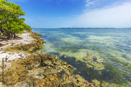 Fototapeta Naklejka Na Ścianę i Meble -  Florida Keys island shore
