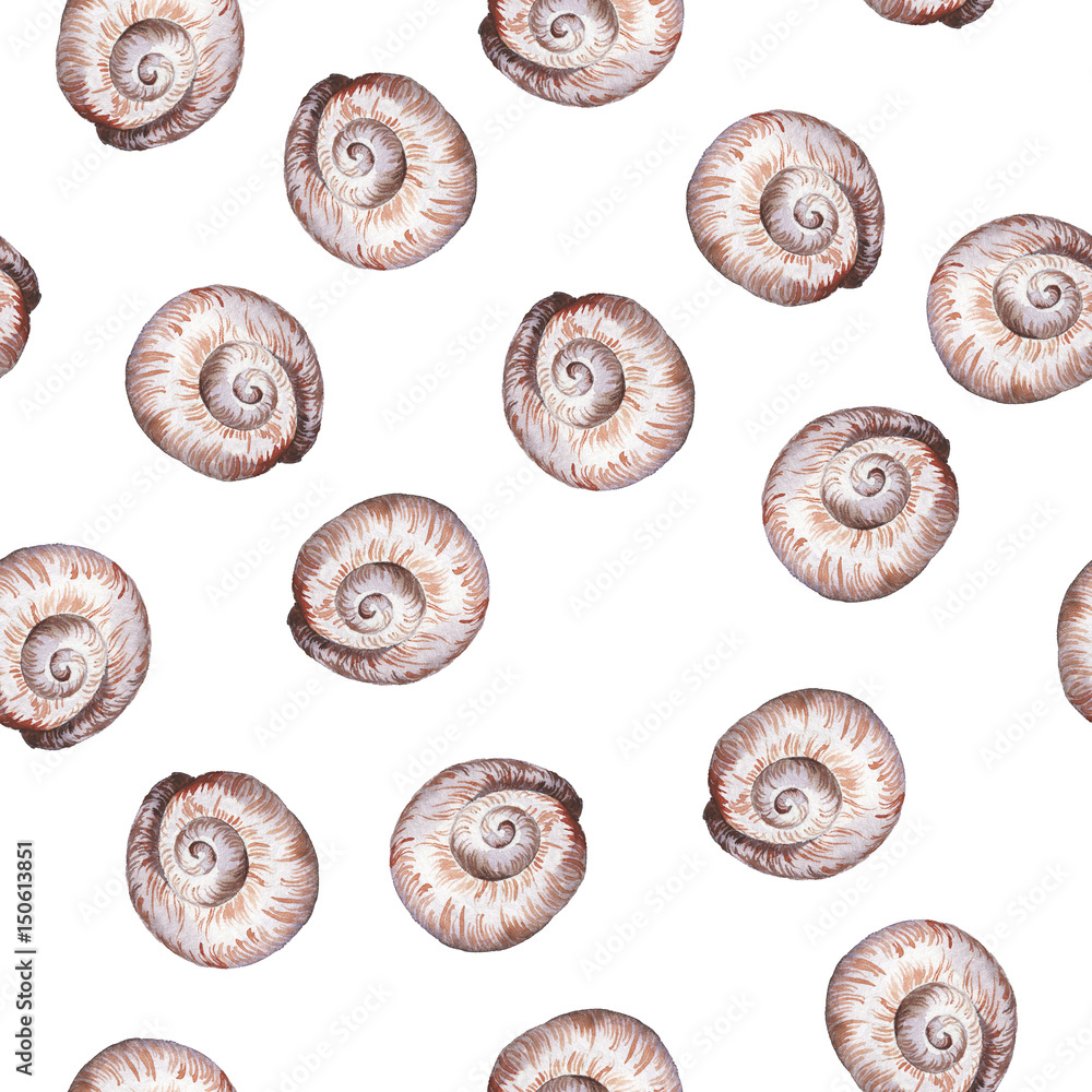 Seamless pattern with beige light seashells on white background. Hand drawn watercolor illustration. Seamless pattern with beige light seashells on white background. Hand drawn watercolor illustration.