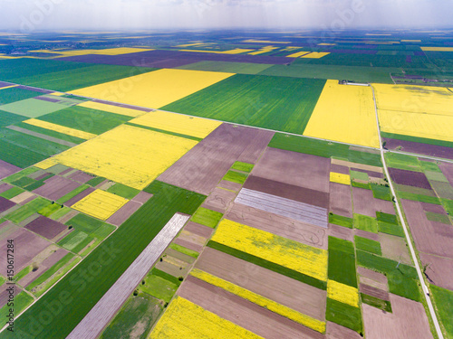 Crop fields in the spring, freshely harvested photo