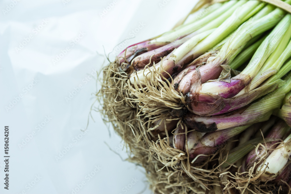 Roots of fresh young onion, bunch of shallots, chives, scallion, green onions feathers heap. Close up. Roots of fresh young onion, bunch of shallots, chives, scallion, green onions feathers heap. Close up.