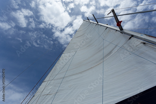 Foto White main sail