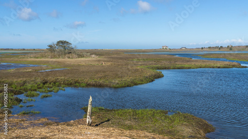 Two houses along salt marsh