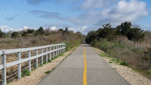 Bikepath through the woods