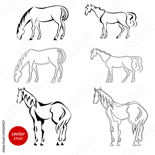 Set of black abstract horses on a white background. An image of horses in various poses. Vector illustration