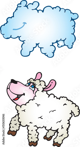 Lamb cloud