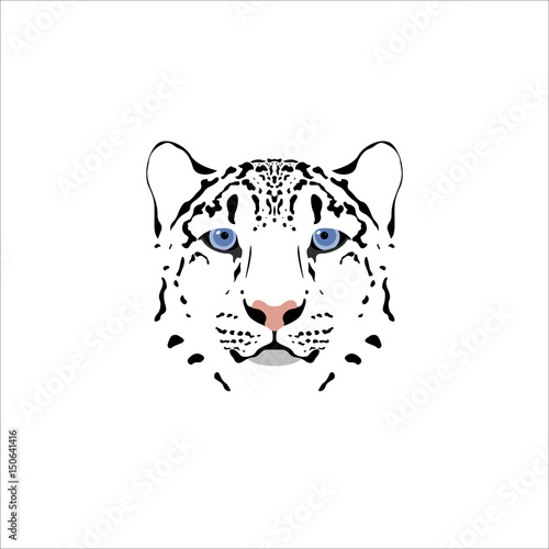 Vector illustration of a snow leopard head. 