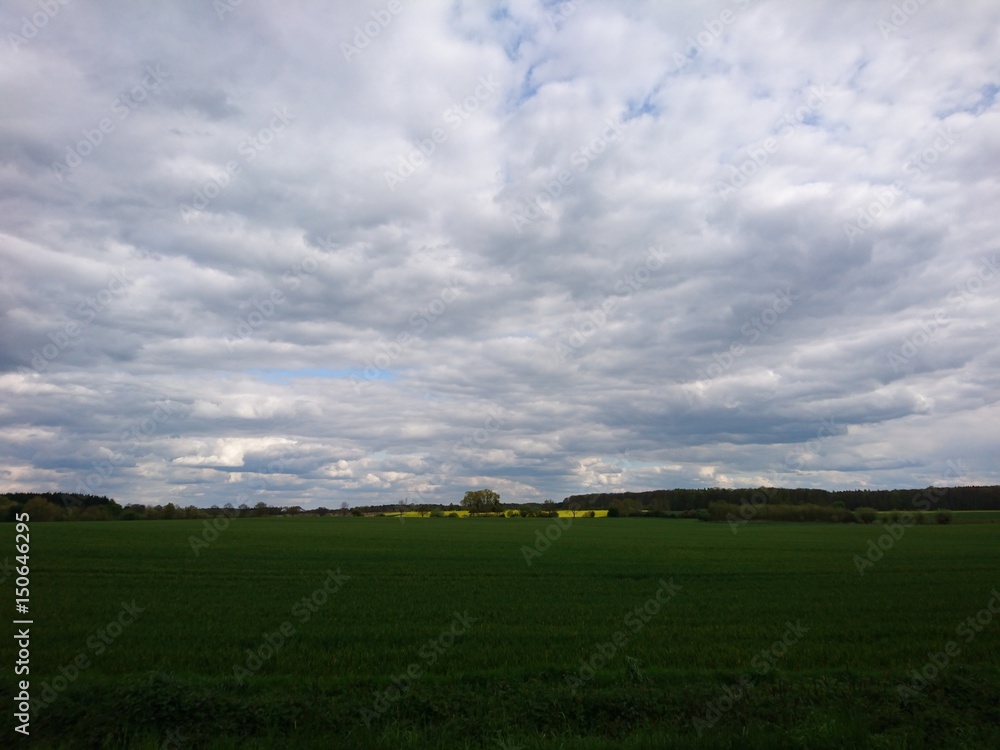 Obraz premium Felder im Frühjahr