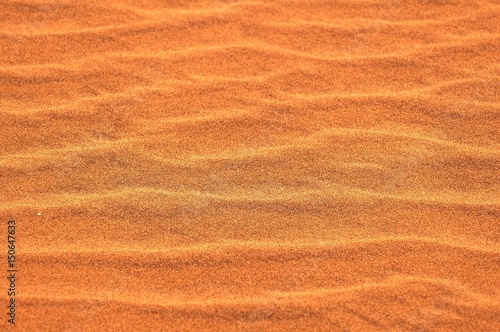 Details of the Dunes of the Namib Desert near Swakopmund