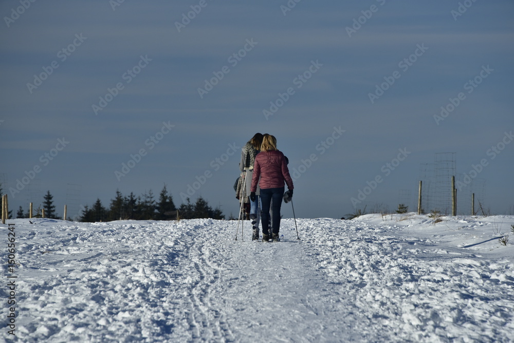 Ski de fond entre ciel et neige au plateau des Hautes Fagnes à l'est de la Belgique