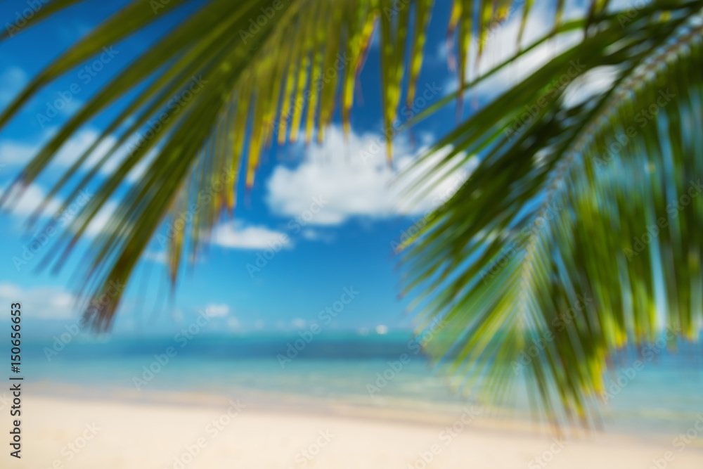 Blur Tropical beach background with palm and blue sea