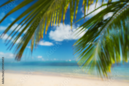 Blur Tropical beach background with palm and blue sea