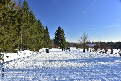 Ombres sur l'une des pistes de ski de fond ou pour la marche au plateau des Hautes Fagnes en fin de journée