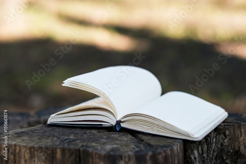 An empty notebook or diary with open pages lies on a stump in park