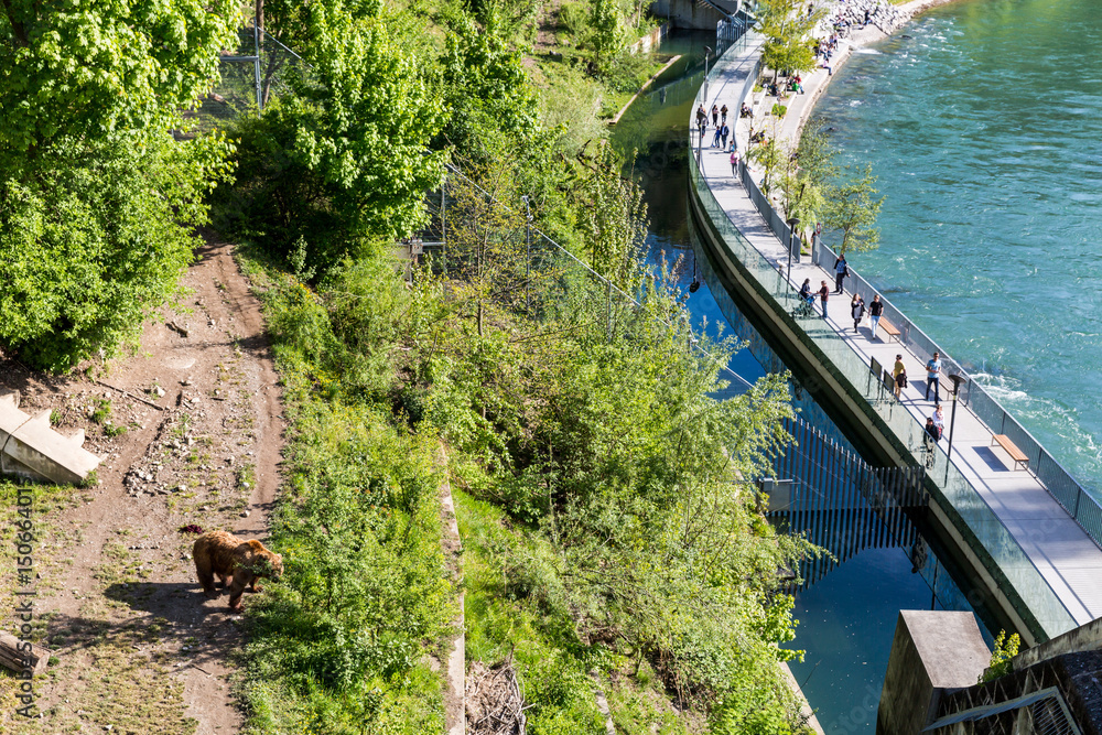 View of the Baerenpark in the capital city of Bern, Switzerland