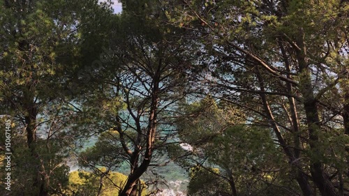 View of the sea in the pines frm Tresino hill, Cilento, 4K photo