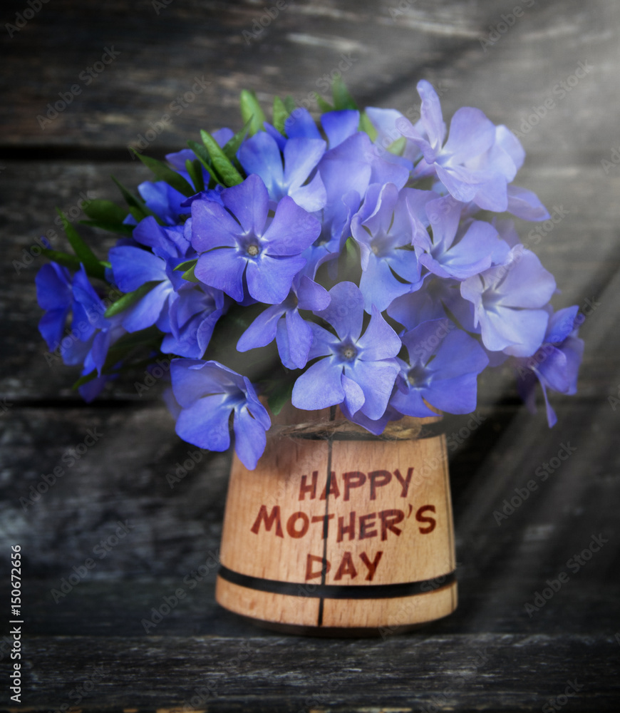 Blue flowers for cheap mother's day