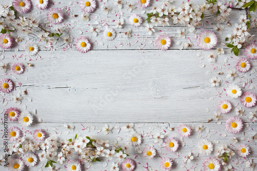 Fototapeta Naklejka Na Ścianę i Meble -  Background with daisies and blooming cherry, plum