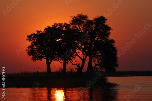 Island in the Chobe River in the sunset