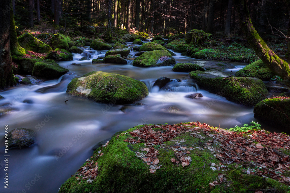 Fototapeta premium Otterbachtal-1 Wildbach im Bayerischen Wald