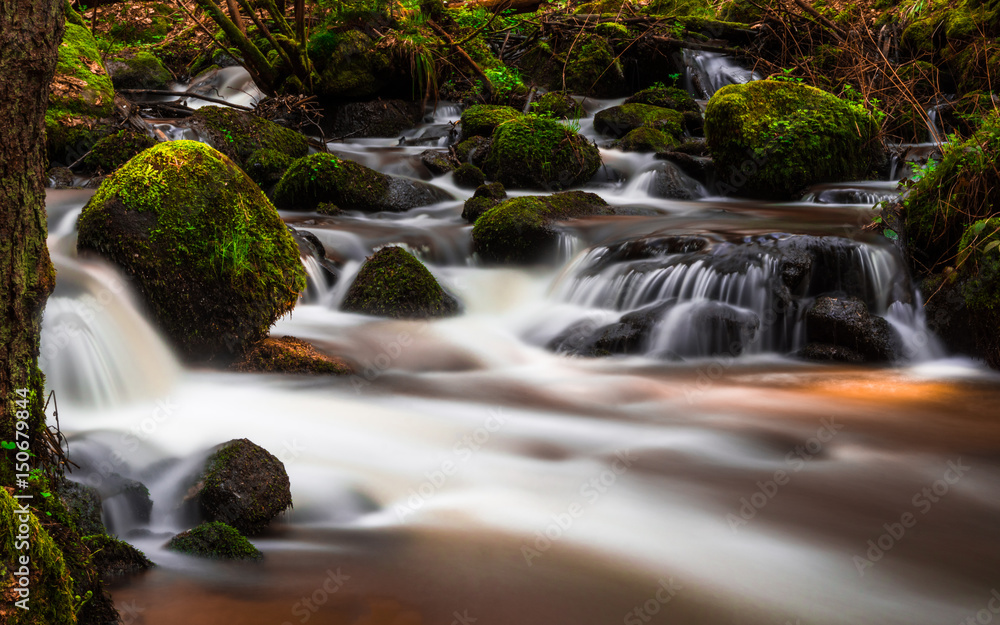 Fototapeta premium Otterbachtal-9 Wildbach im Bayerischen Wald