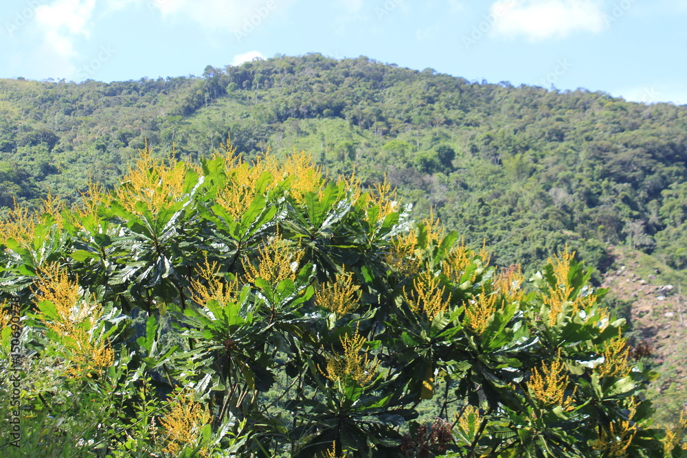 Paisaje rural. San Luis, Antioquia. Colombia. Paisaje rural. San Luis, Antioquia. Colombia.