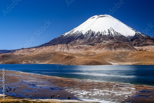 Park Lauca landscape