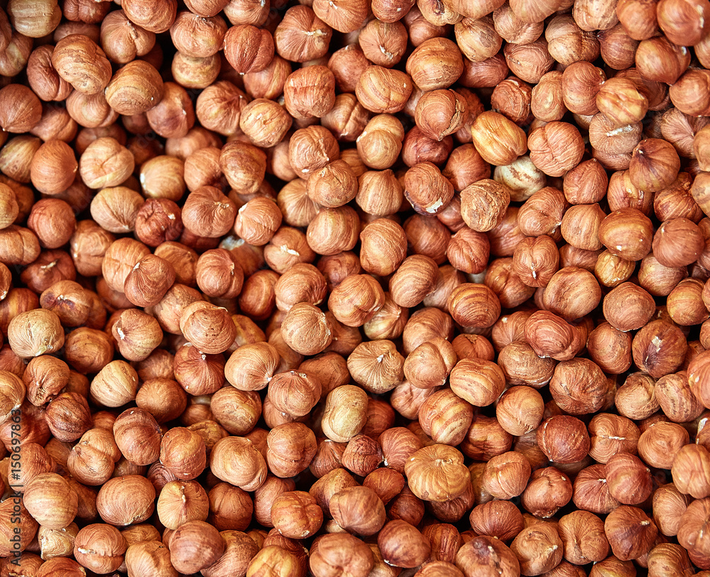 Hazelnut Background. Heap of peeled hazelnuts. Hazelnut Background. Heap of peeled hazelnuts.
