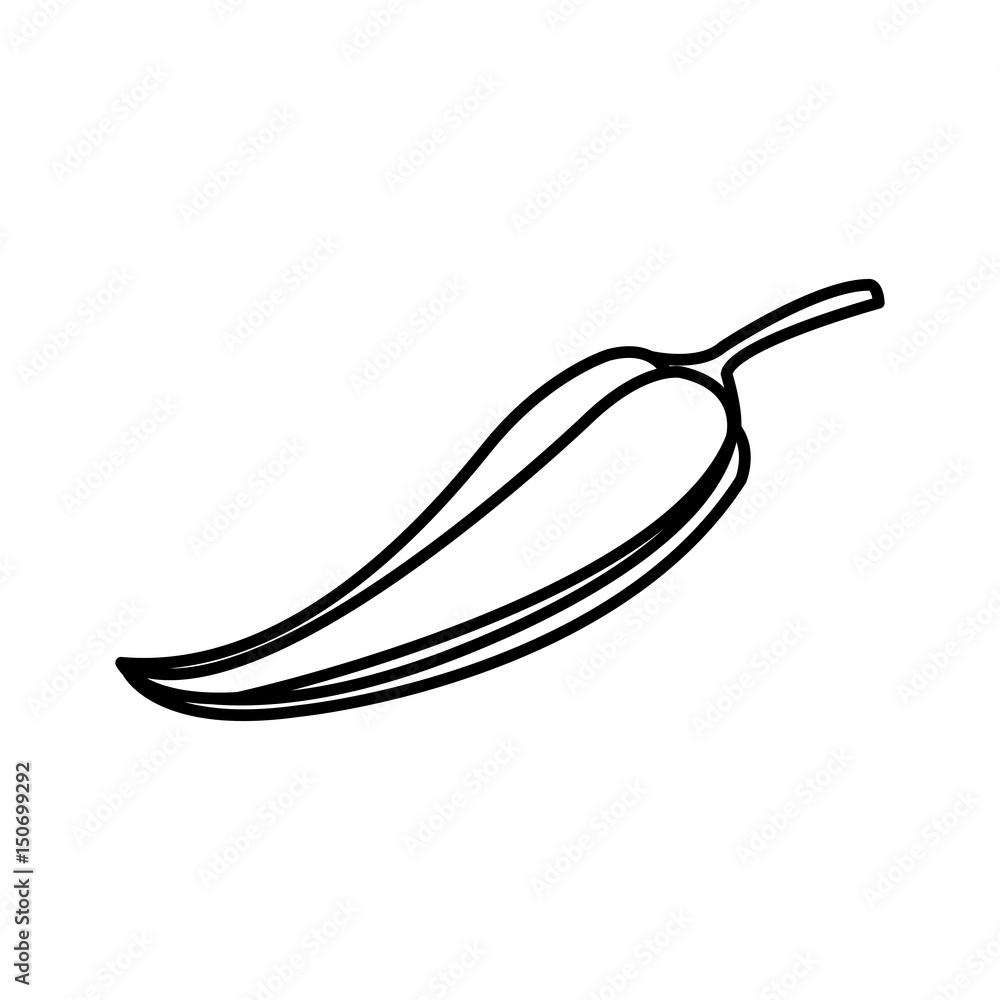chili pepper spice cooking line vector illustration chili pepper spice cooking line vector illustration