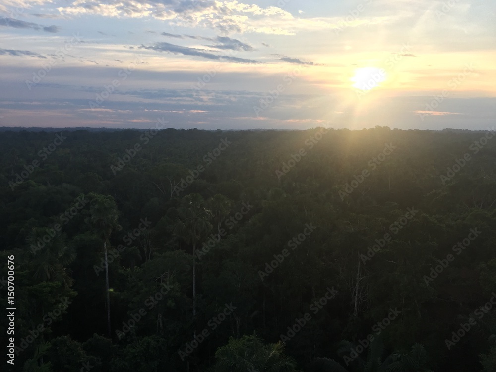 Amazon sunset
