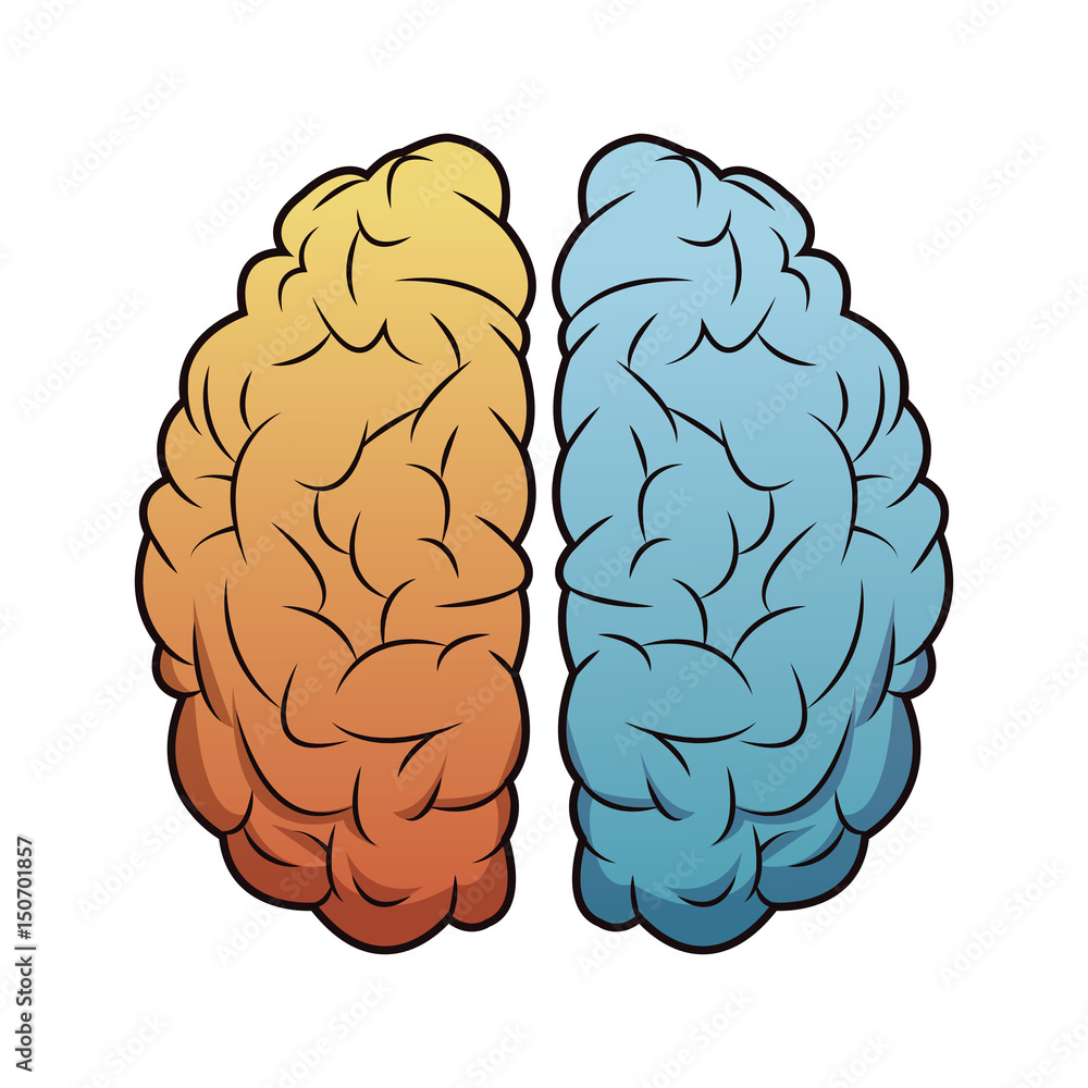 brain mind idea creativity memory image vector illustration brain mind idea creativity memory image vector illustration