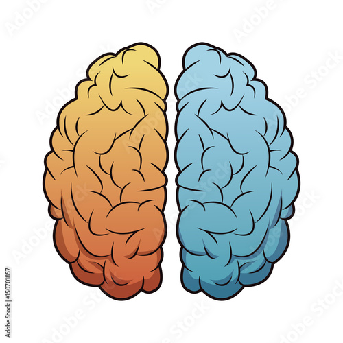 brain mind idea creativity memory image vector illustration