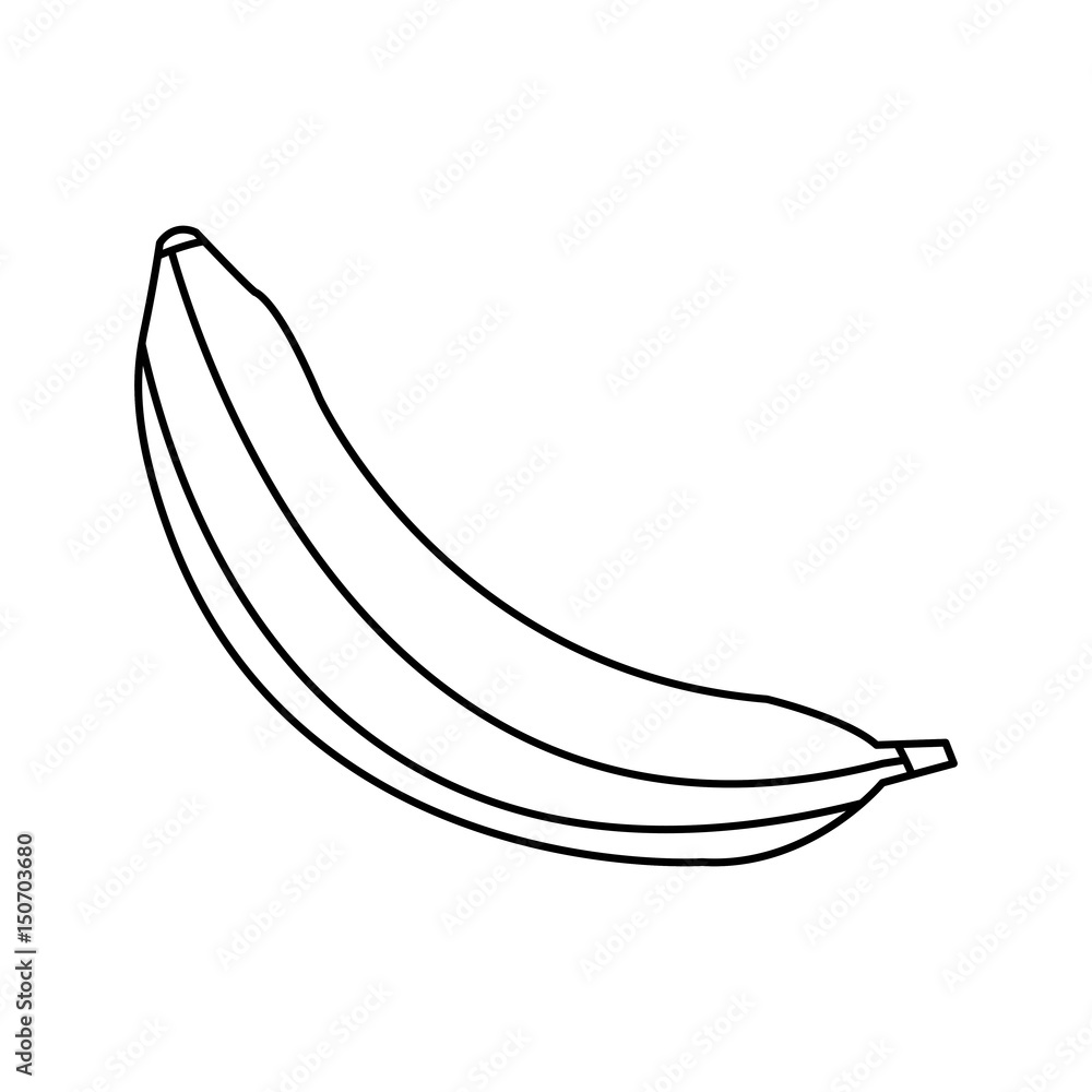 banana fruit sweet vitamins food line vector illustration banana fruit sweet vitamins food line vector illustration