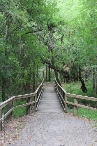 Bridge Over Mission River in Park