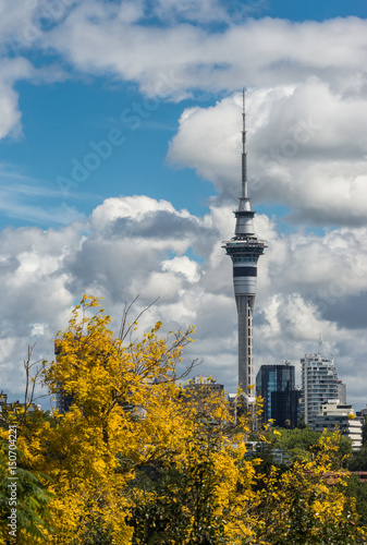 Auckland, New Zealand - March 4, 2017: Tall communication and restaurant Sky Tower seen from Parnell Road behind yellow blossom tree and under dramatic cloudy blue sky. Other high rises.