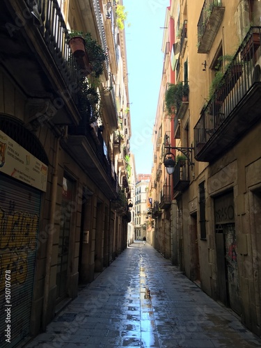 Fototapeta Naklejka Na Ścianę i Meble -  Barcelona Alley