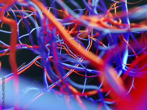 Blood vessels of a human - 3D Rendering photo