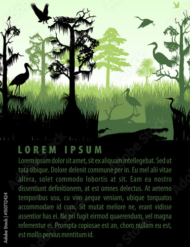 vector rainforest wetland silhouettes in sunset design template