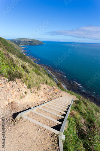 kapiti Coast trail escarpment photo