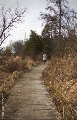 Walk in the Autumn woods