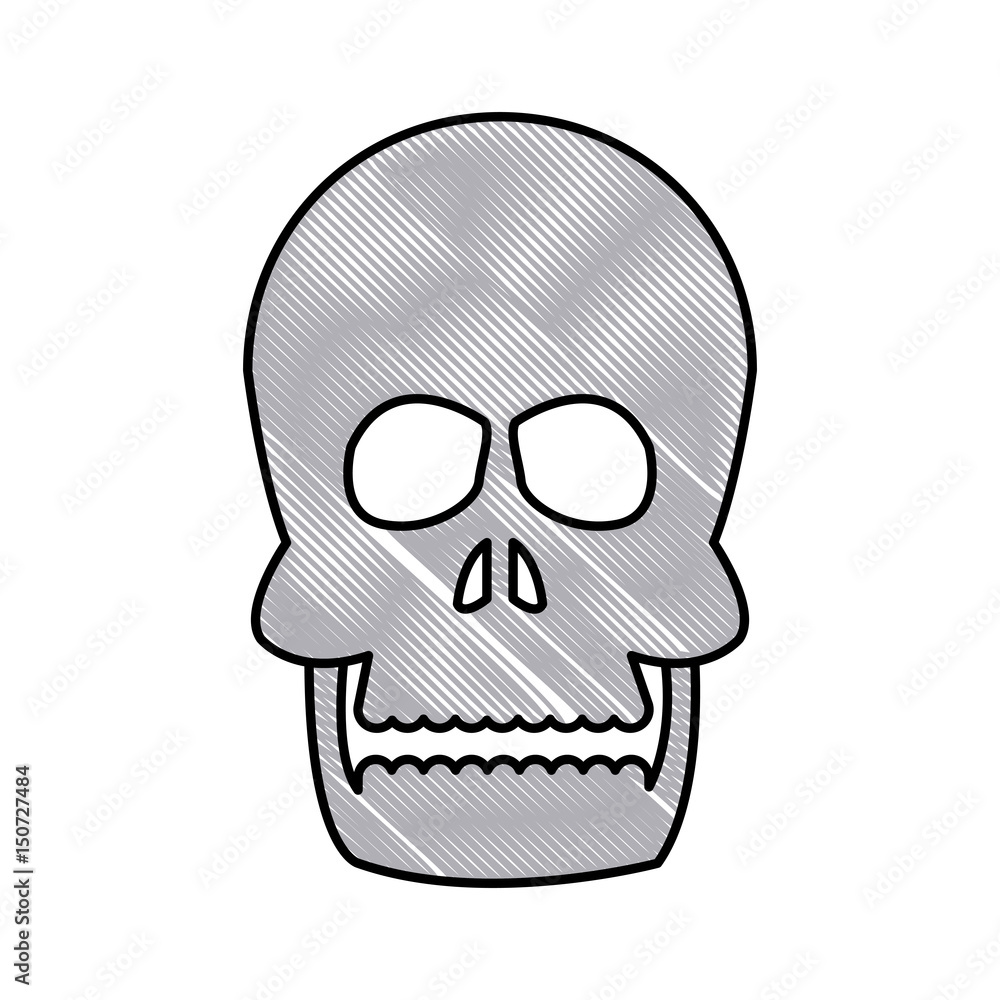 drawing human skull bone care healthy vector illustration