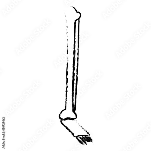 human leg foot bone anatomy medical sketch vector illustration